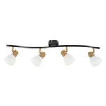 Потолочный светильник Arte Lamp FALENA A3117PL-4BK