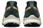 Кроссовки Nike Pegasus Trail 4 Gore-Tex