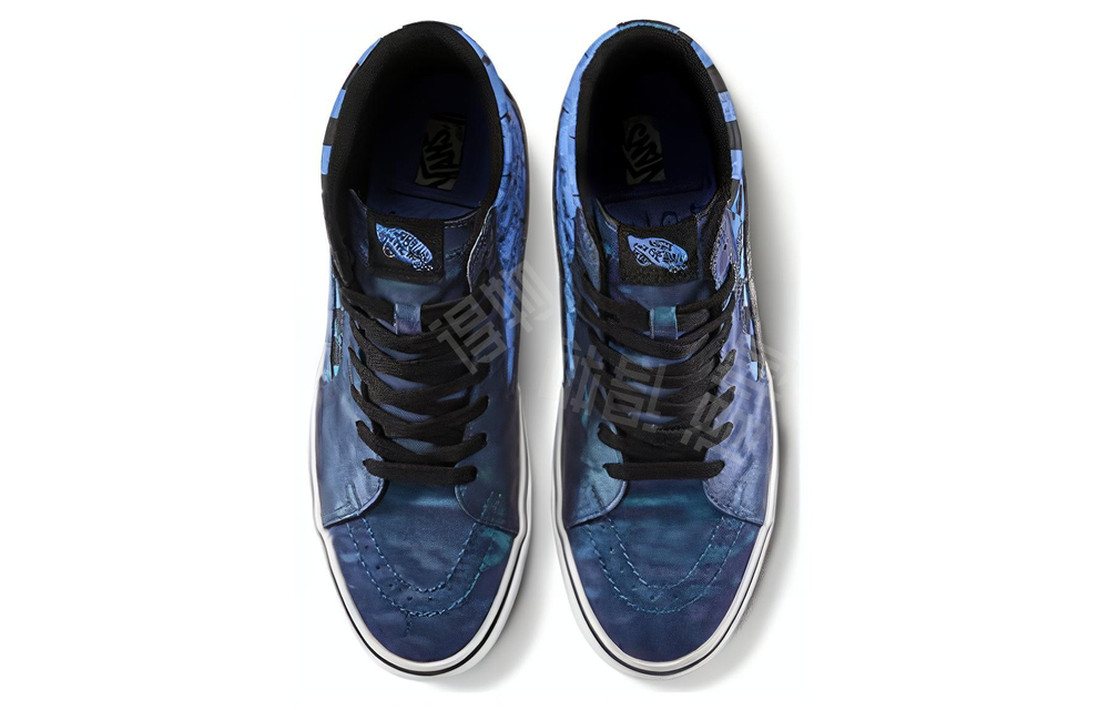 Harry Potter X Vans Sk8