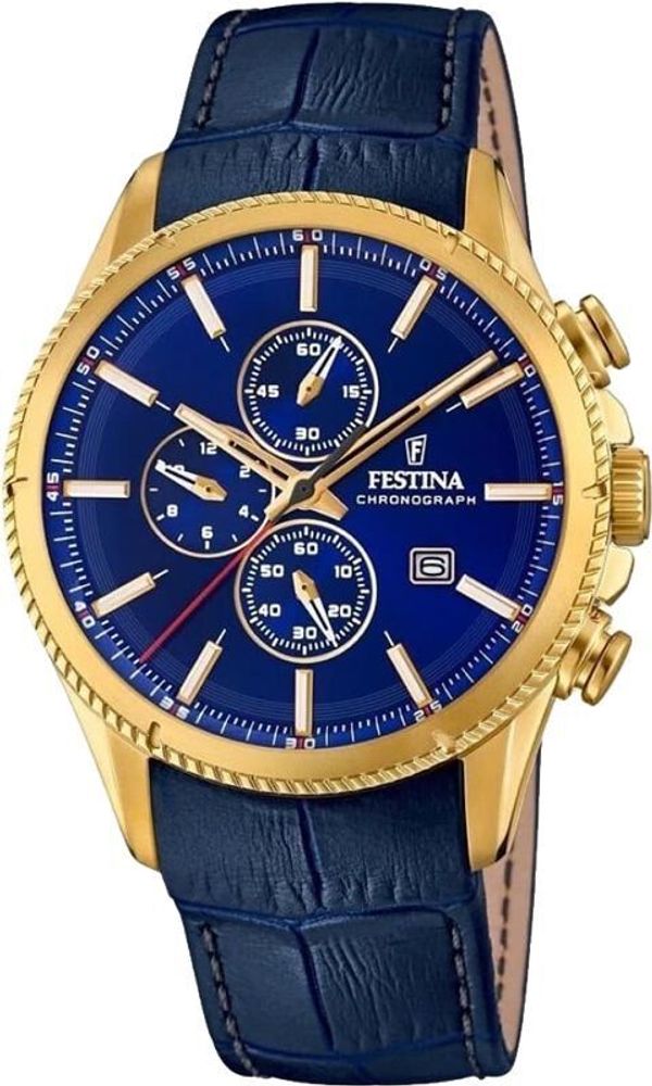 Мужские наручные часы Festina F20419/2