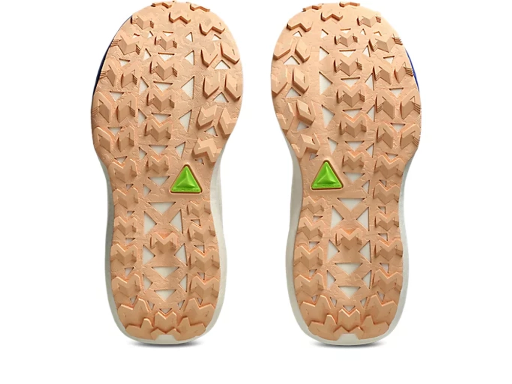 Женские Кроссовки для бега ASICS Trabuco Max 5 amethyst/black