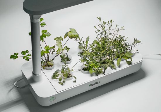 Настольная садовая ферма