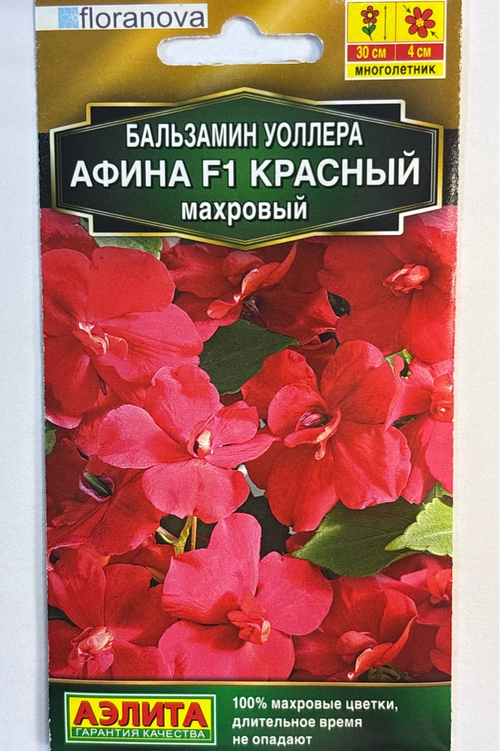 Бальзамин Афина F1 красный махровый СМЦ-717