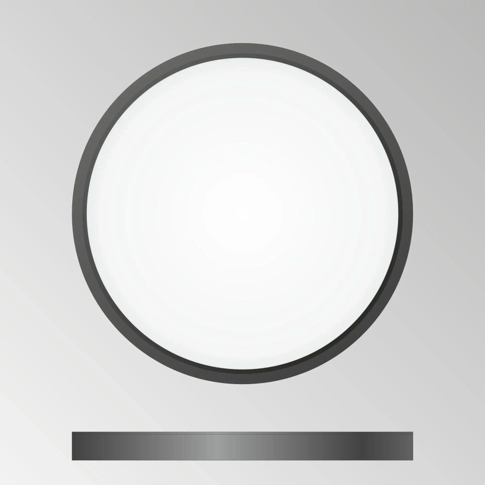 Citilux Бейсик CL738241V Светильник накладной Чёрный