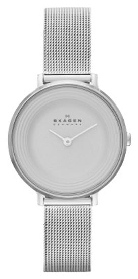 Наручные часы Skagen SKW2211