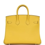 Оригинальная женская сумка из коллекции B с палладиевой фурнитурой Hermès Birkin