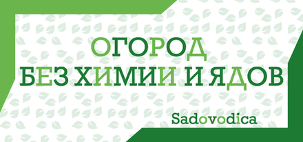 Курс "ОГОРОД БЕЗ ЯДА"