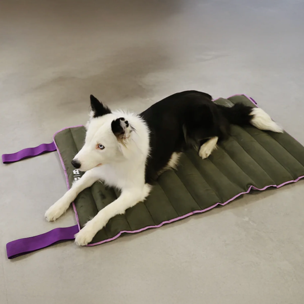 Лежак Air.Mat Zee.Dog