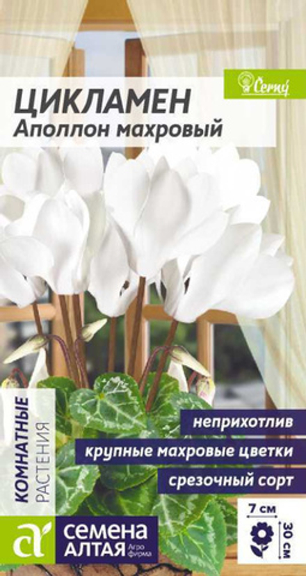 Цикламен Аполлон махровый/Сем Алт/цп 3 шт. КОМНАТНЫЕ РАСТЕНИЯ