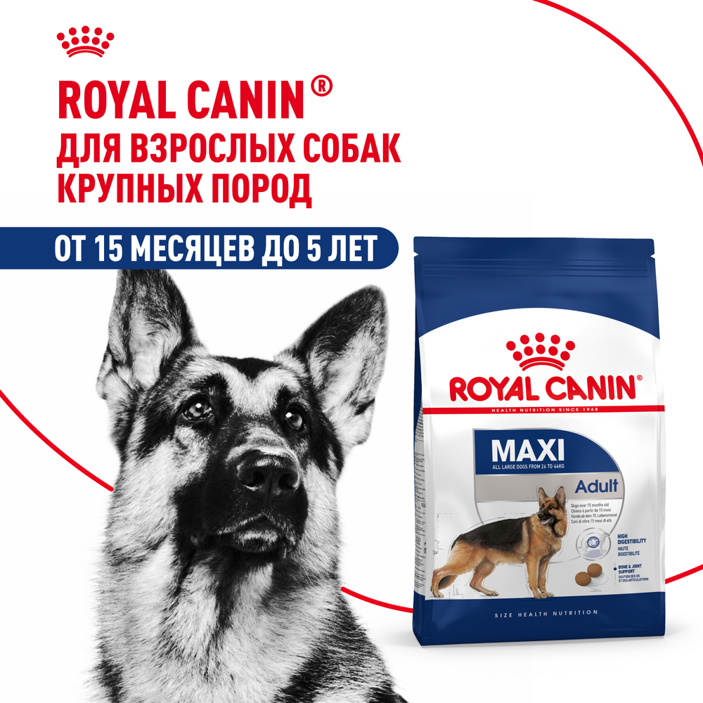 Royal Canin Maxi Adult Корм сухой для взрослых собак крупных размеров от 15 месяцев до 5 лет 3 кг