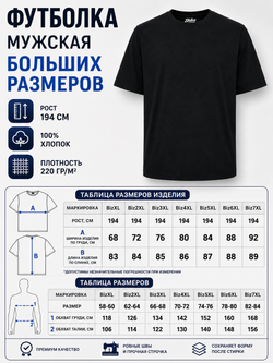 Футболка SHILCO 220F73, хлопок 100%, на высокий рост