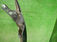 DSCN8224.jpg