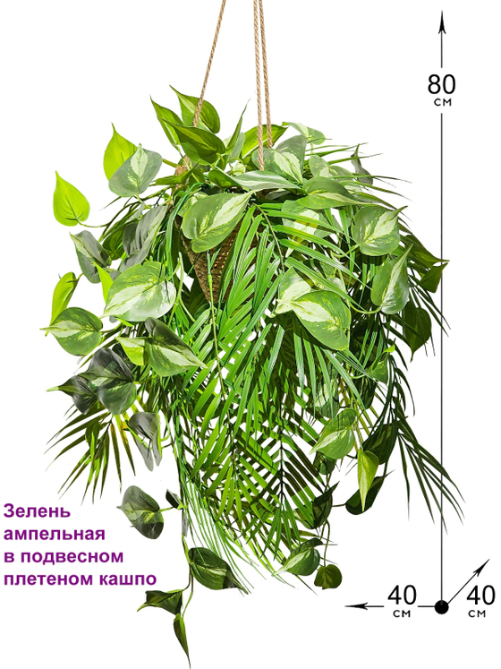 Зелень ампельная в подвесном плетеном кашпо