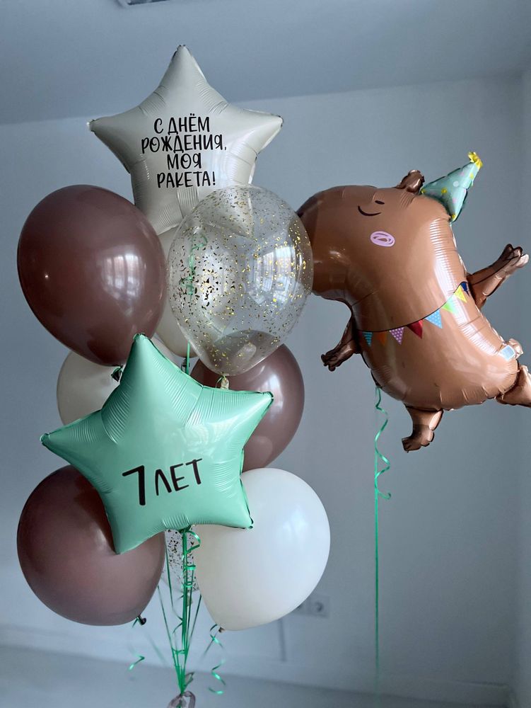 Воздушные шары Капибара танцует киви/зеленый/шоколад/песок №4142