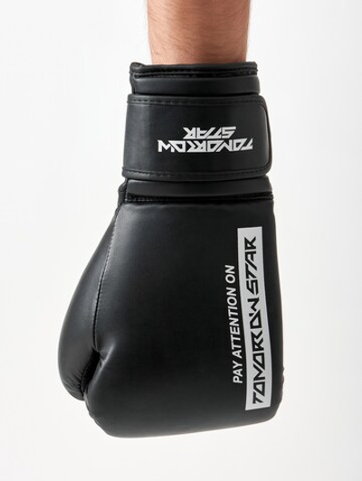 Перчатки боксерские Pay Attention on Tomorrow Star