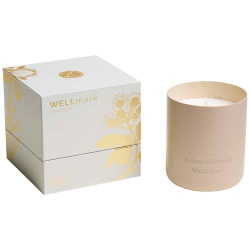 Ароматическая свеча Wellmark