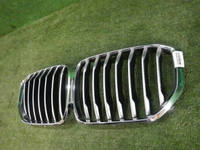 Решетка радиатора BMW X5 G05 (2018-2023)