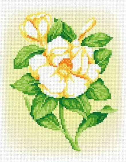 Рисунок-схема на канве для вышивания крестом "Нежность", 30 х 21 см / 20 х 15 см (Россия)