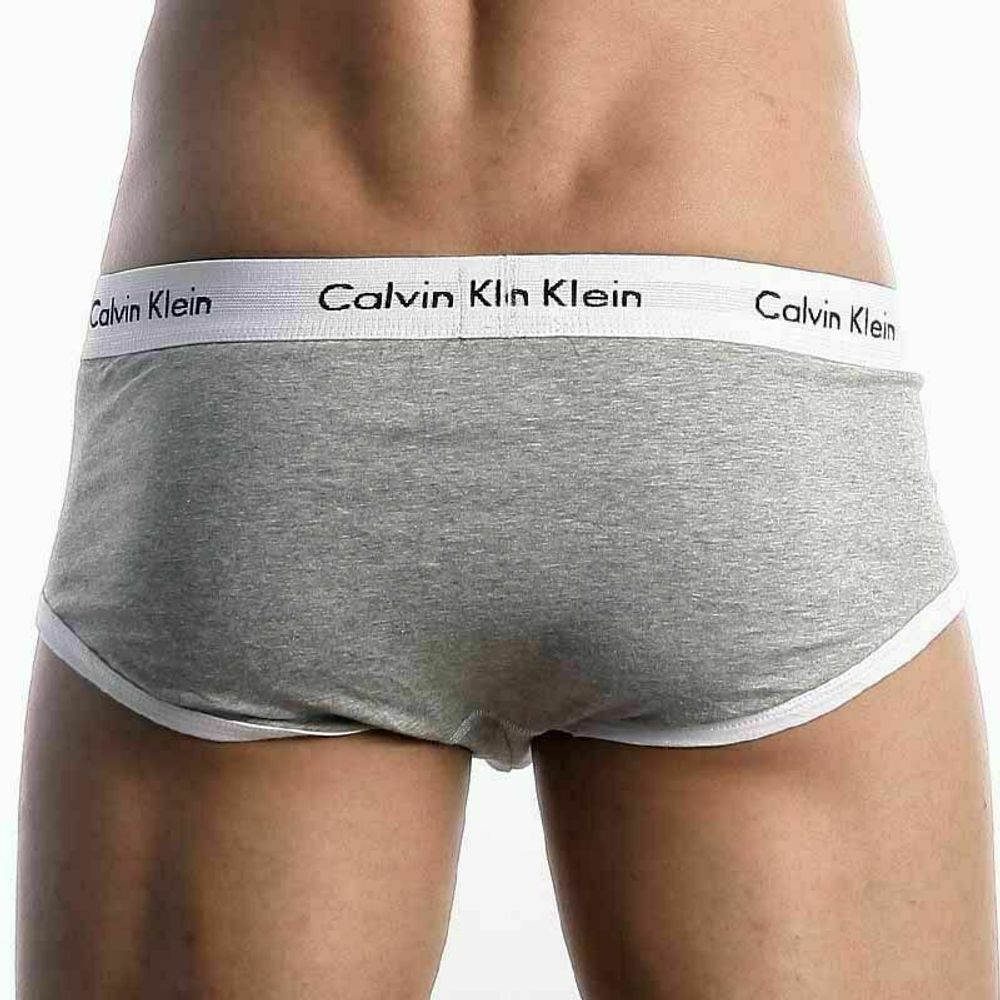 Мужские трусы брифы Calvin Klein 365 Grey White Brief