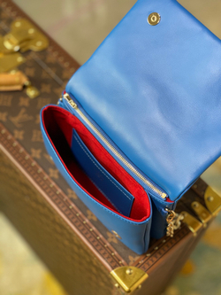 Louis Vuitton Pochette Coussin
