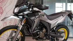 Водж 300 Ралли