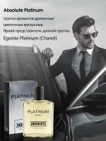 Туалетная вода для мужчин "ABSOLUTE PLATINUM" 100мл Россия