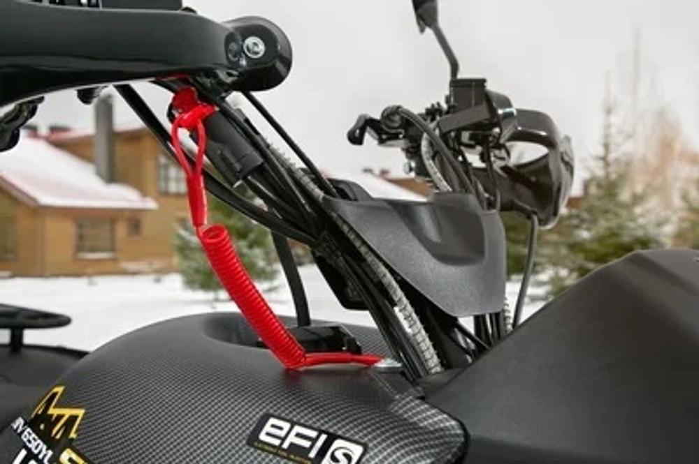 Квадроцикл СТЕЛС ATV 650 YS Leopard EFI