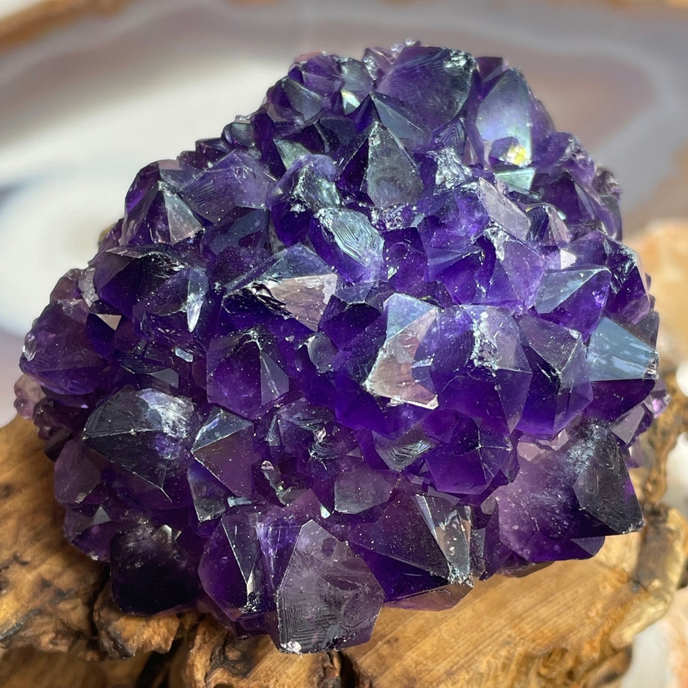 41531 Аметист Друза кристалл кактус 67мм