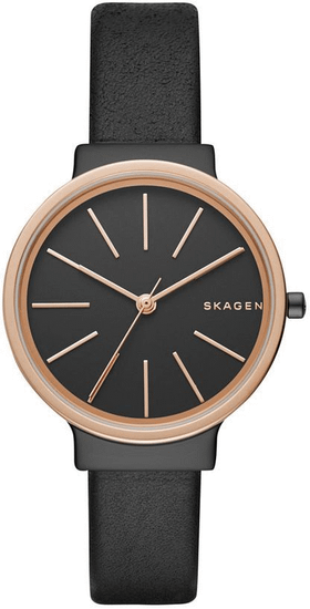 Женские часы Skagen SKW2480