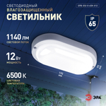 Светильник ЖКХ светодиодный ЭРА SPB-202-0-65K-012 IP65 12Вт 6500К 195x95 овал