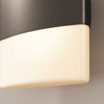 Уличный настенный светильник Outdoor O442WL-L12GF3K