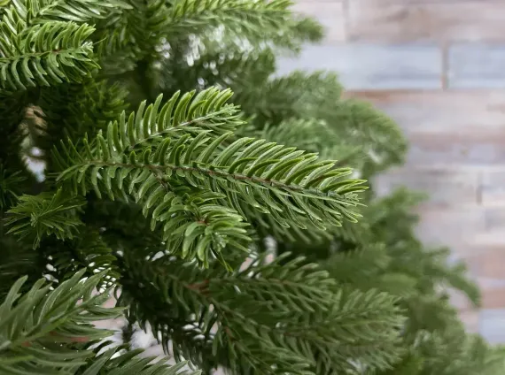 Ель Купеческая, 100% литая хвоя, 185 см., Black Box (74576)