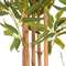 Бамбук высота 175 см