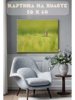 Картина на стену 40 X 50 Птица на колоске
