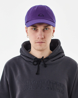 Кепка Anteater 6Panel-Violet