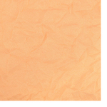 N-Rit полотенце Campack Towel 44*44