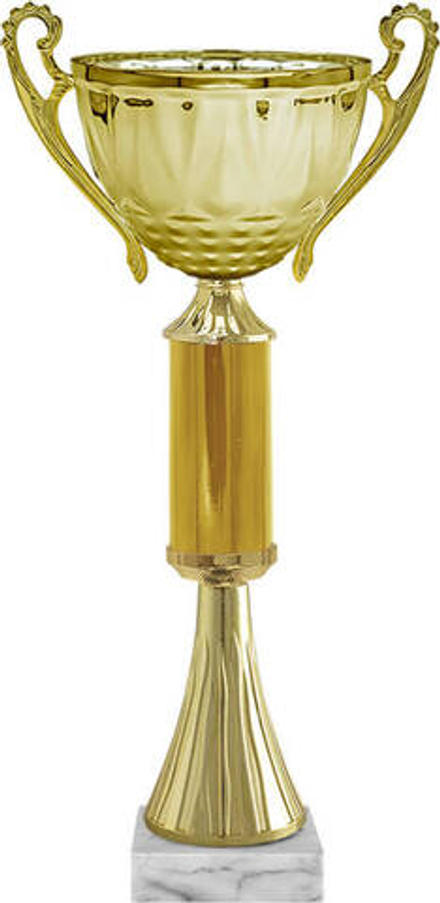 Кубок "Викки"