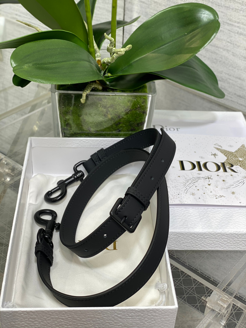 Christian Dior Saddle Bag with Strap