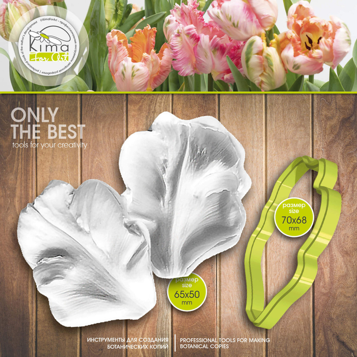 Тюльпан попугайный универсальный