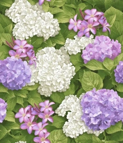 Обои бумажные Брянские обои Матильда 1 0.53*10м