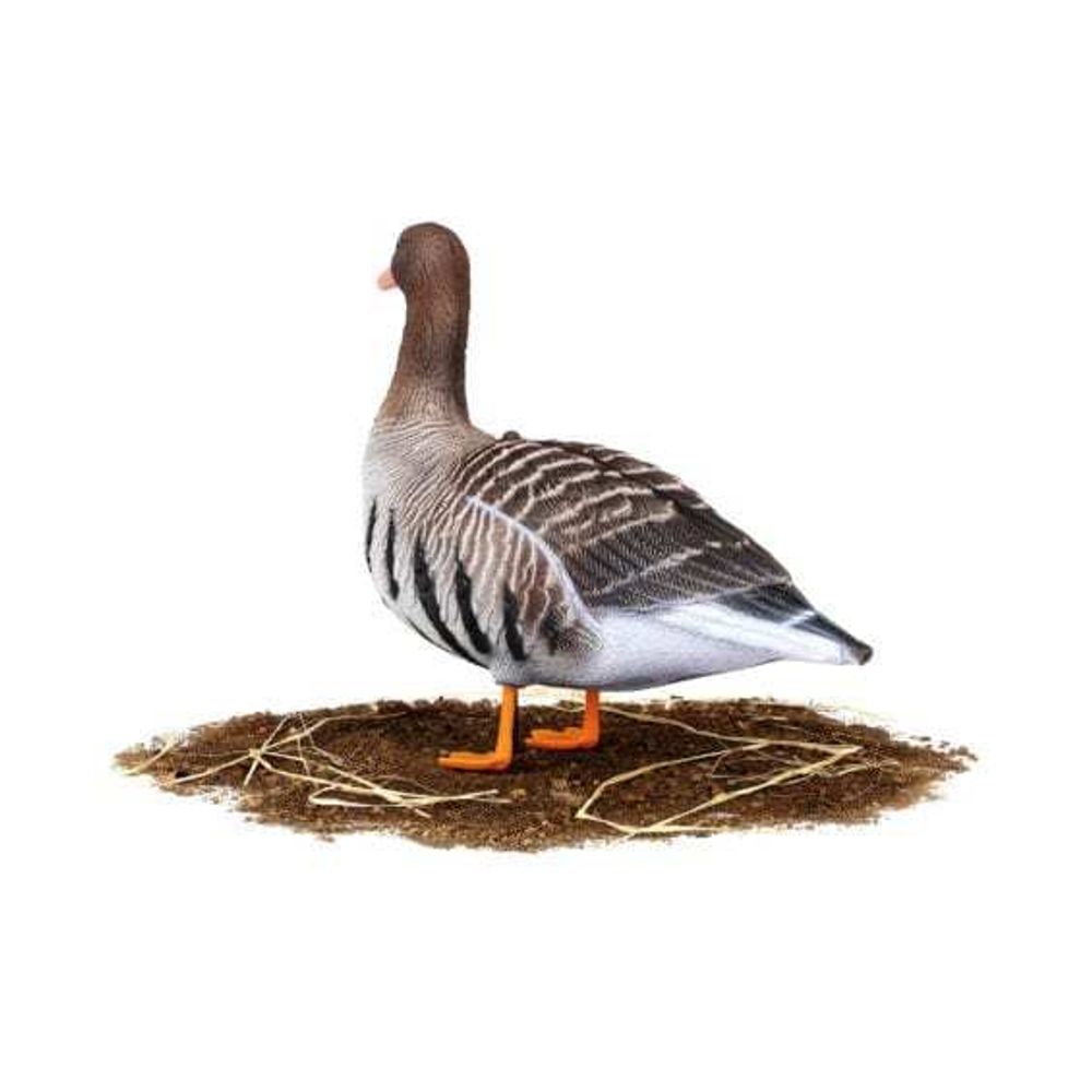 Комплект чучел Белолобый (10шт) S-XPE B622-3D "North Way"