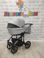 Коляска модульная Adamex Amelia AM248