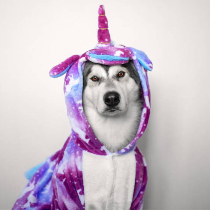 Фотографии кигуруми единорог