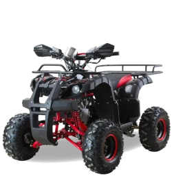 Квадроцикл MOTAX ATV Grizlik Super LUX 50 cc