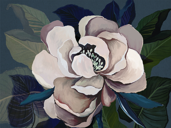 Коллекция SOLO