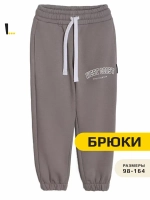 Спортивные штаны для мальчика для школы