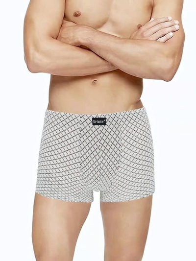 Мужские трусы-шорты с рисунком-сеткой (Размер: M)