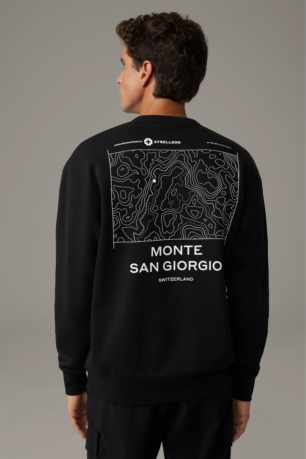 Толстовка мужская STRELLSON