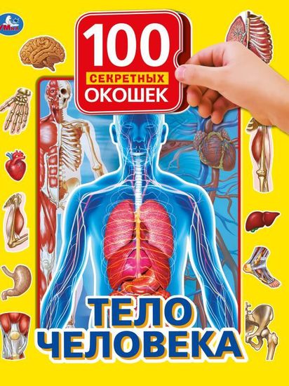 Тело человека. 100 секретных окошек. Формат: 222х282мм. Объем: 12 карт. стр. Умка