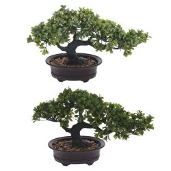 GAEM Цветочная композиция "Бонсай", L32 W13 H19 см, 2в.